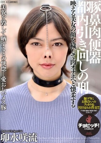Kencing daging hidung babi Hukuman pengangkutan sekitar Tokyo Saryu Usui 1,020 7