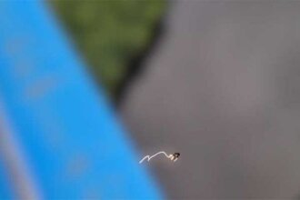 *55 % Rabatt für Neukunden bis zum 21.* Schreien beim Bungee-Jumping! *Einige verbotene Aktionen* [Gesicht enthüllt, Trainingsversion] Ein sadistischer Freund zwingt seine Freundin, sich im Auto mit s...