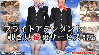 TOKYO PANAS Bergairah Pramugari Mengintip Layanan Rahasia Bagian Khusus 3